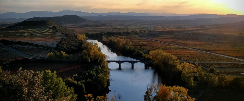 Cien Años de Rioja