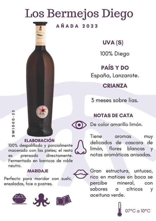 SW1000-23 Bodega Los Bermejos Diego 2023