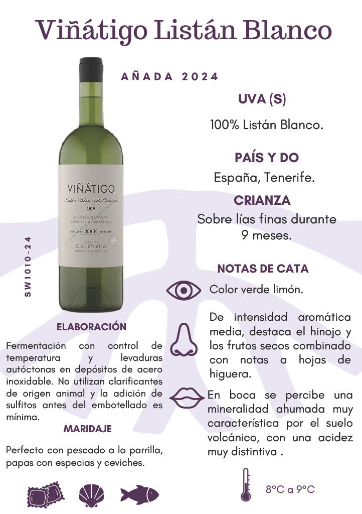 SW1010-24 Viñátigo Listán Blanco 2024
