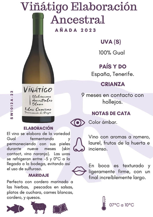 SW1012A-23 Viñátigo Elaboración Ancestral Blanco 2023 - Orange