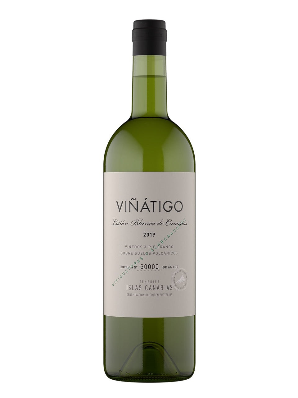 SW1010-24 Viñátigo Listán Blanco 2024