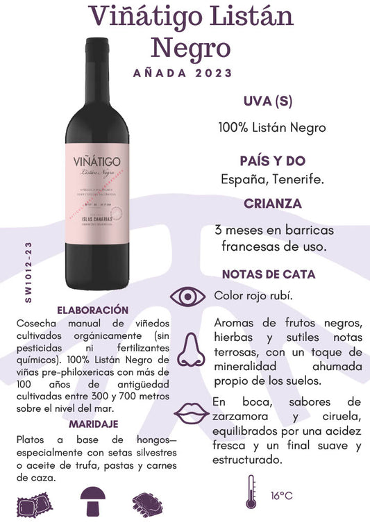 SW1012-23 Viñátigo Listán Negro 2023