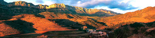 Priorato: Donde el Vino Sube al Cielo