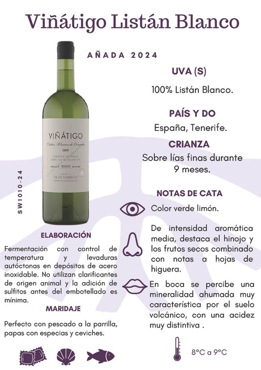 SW1010-24 Viñátigo Listán Blanco 2024