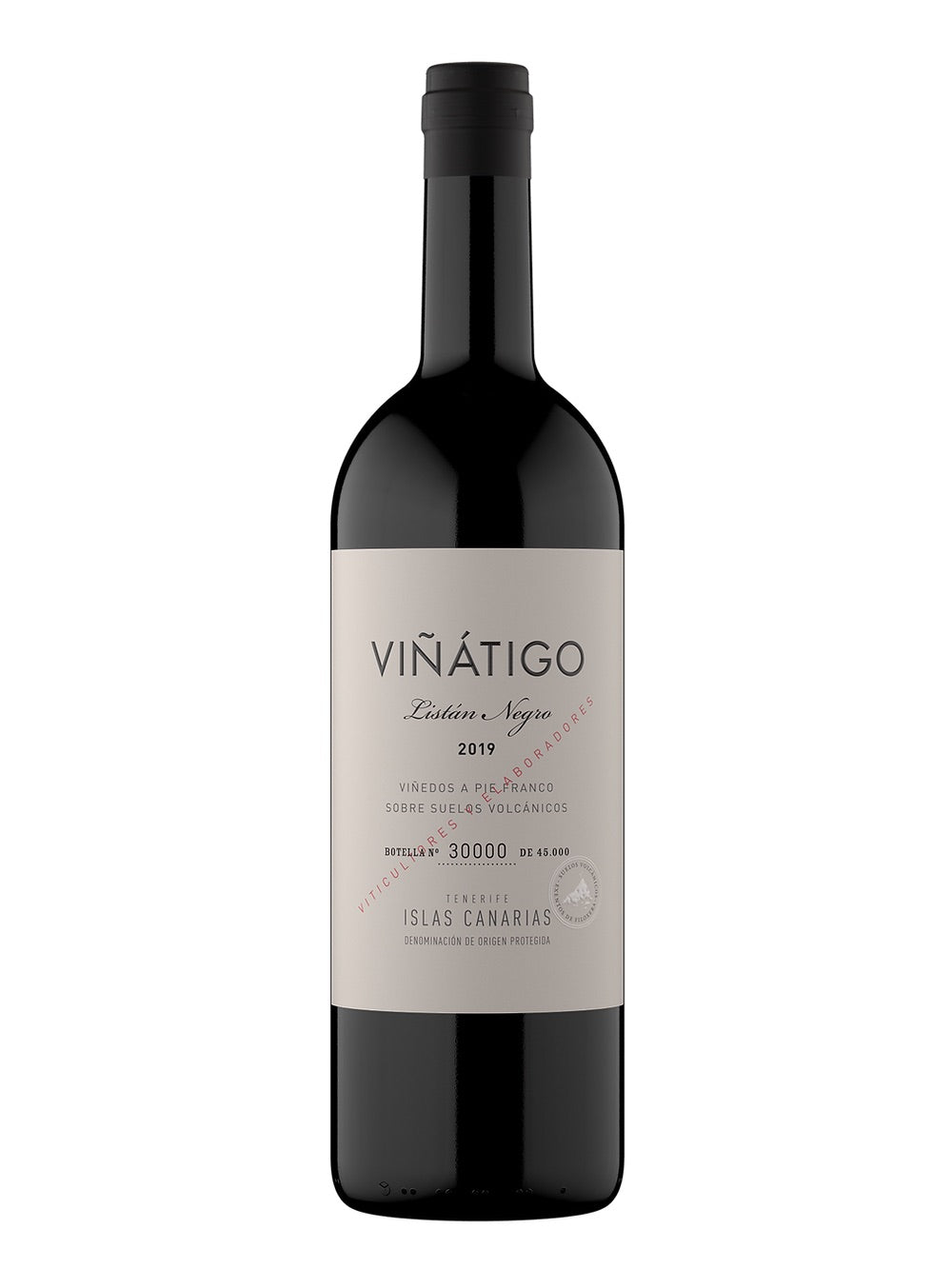 SW1012-23 Viñátigo Listán Negro 2023