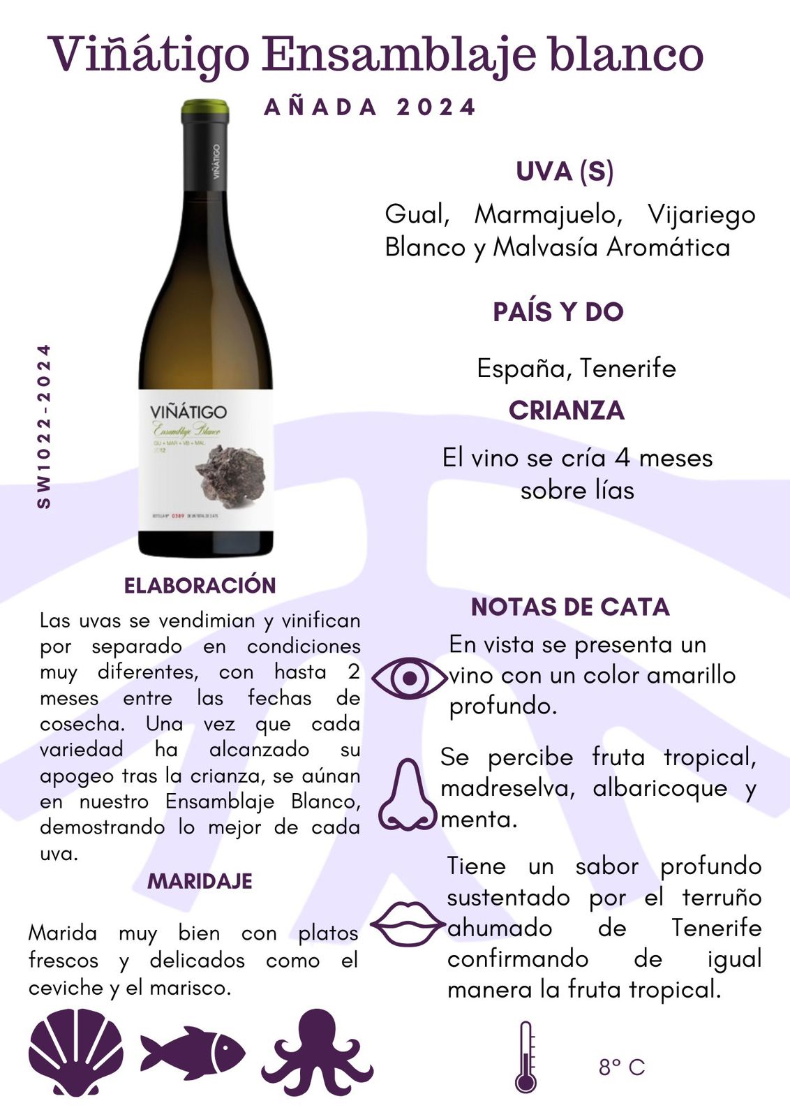 SW10122-24 Viñátigo Ensemblaje Blanco 2024