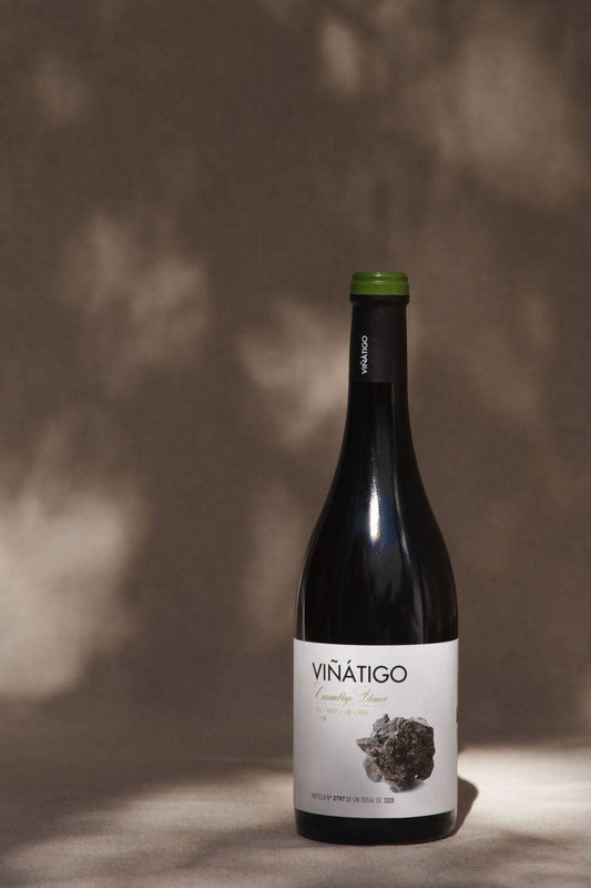 SW10122-24 Viñátigo Ensemblaje Blanco 2024