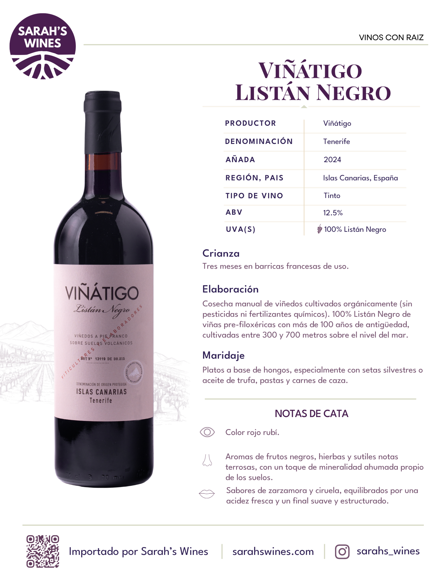 SW1012-24 Viñátigo Listán Negro 2024
