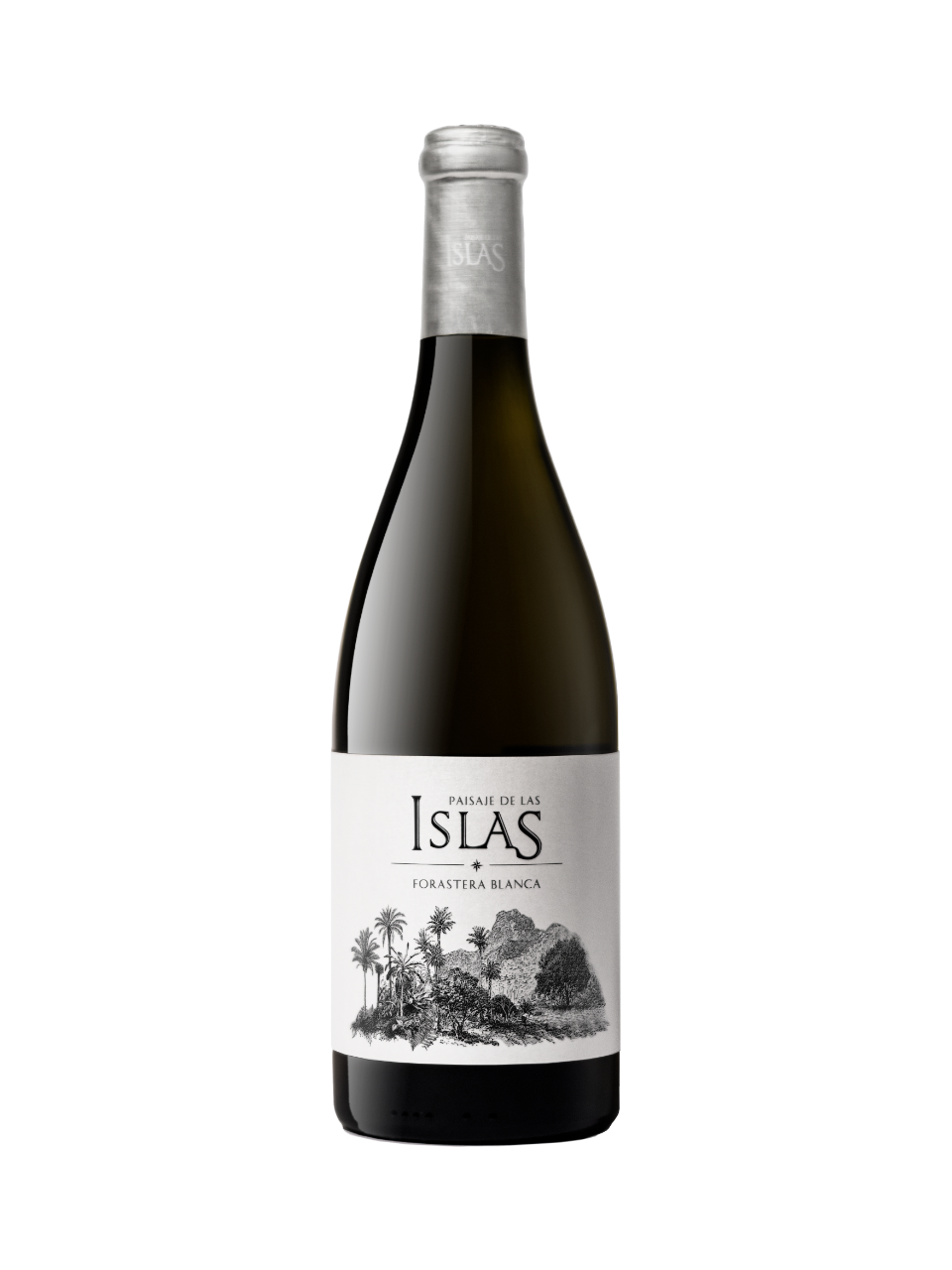SW1043-23 Tajinaste Paisaje de las Islas Forastera Blanco 2023